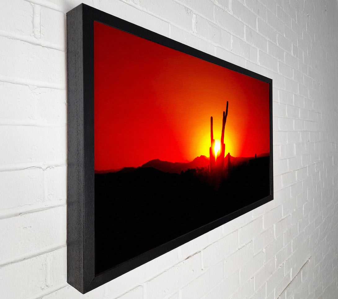  A Canvas Print of Cactus In Sunlight Canvas Wall Art