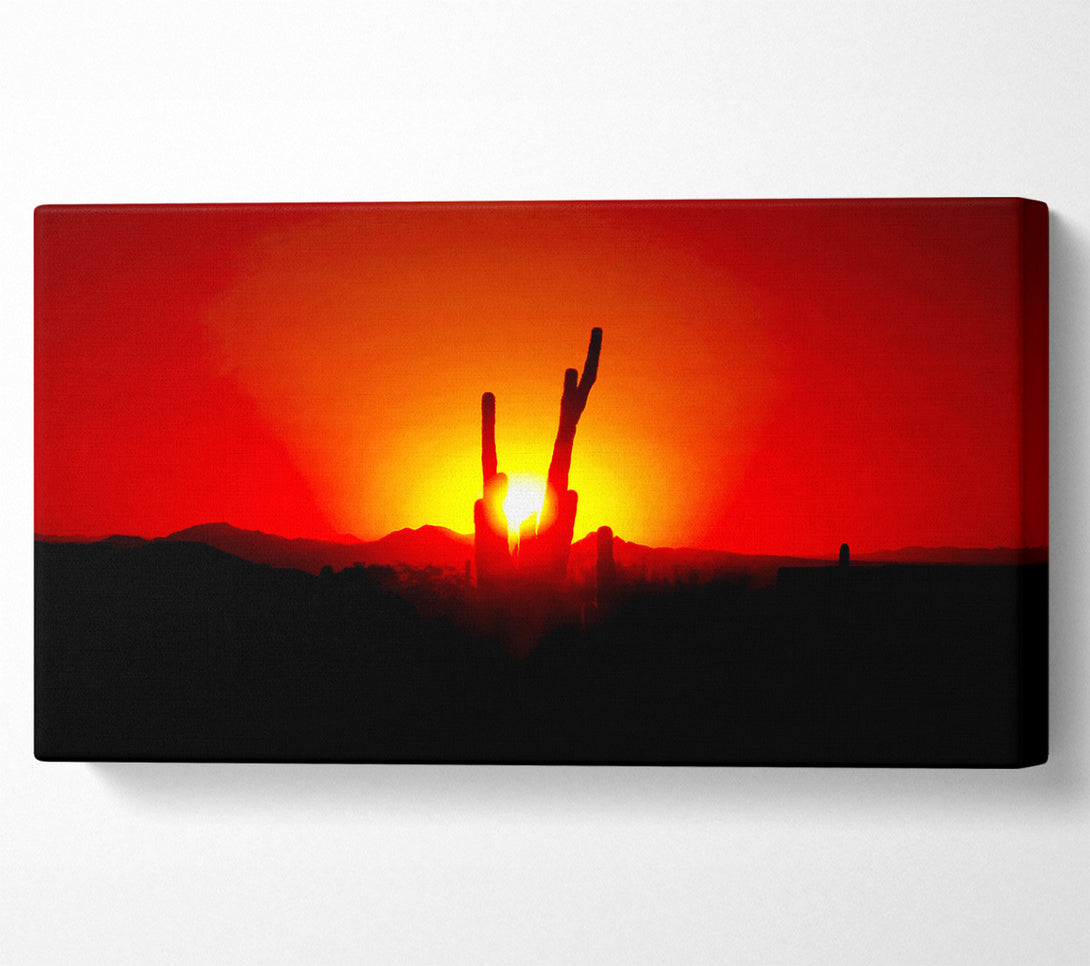  A Canvas Print of Cactus In Sunlight Canvas Wall Art