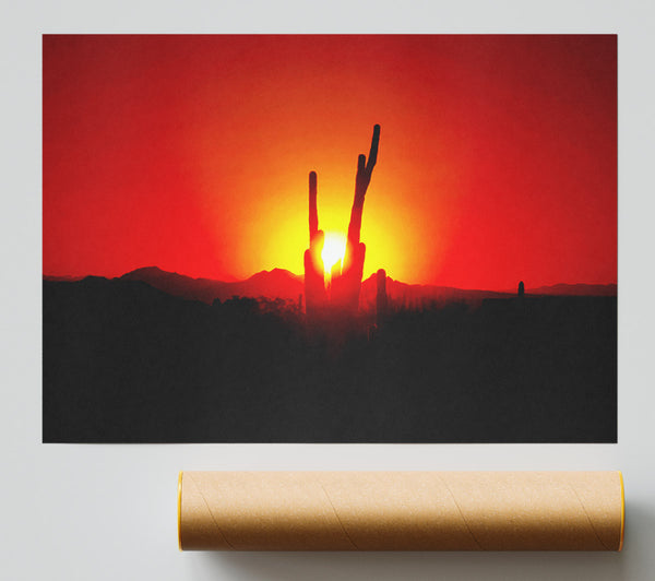Cactus In Sunlight Giclee Print