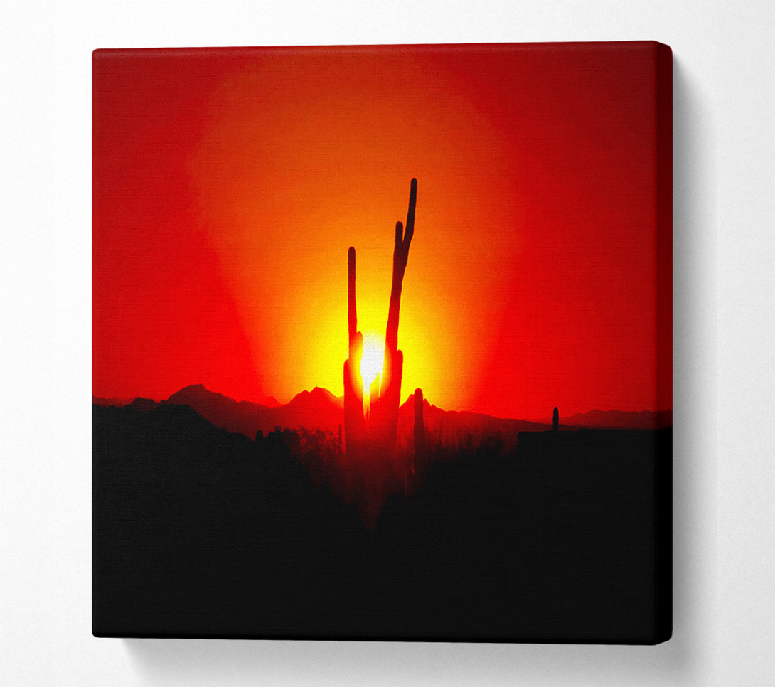  A Canvas Print of Cactus In Sunlight Canvas Wall Art