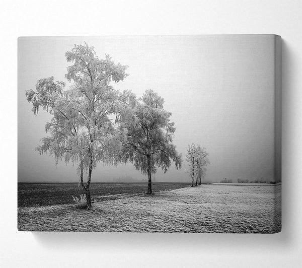  A Canvas Print of Winter Parade B n W Canvas Print