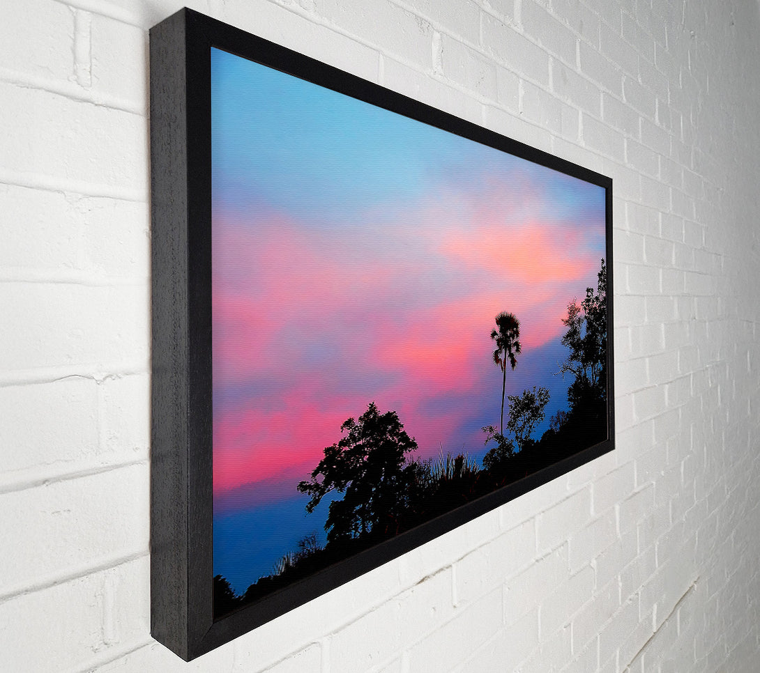  A Canvas Print of Tranquil Tree Tops Canvas Print