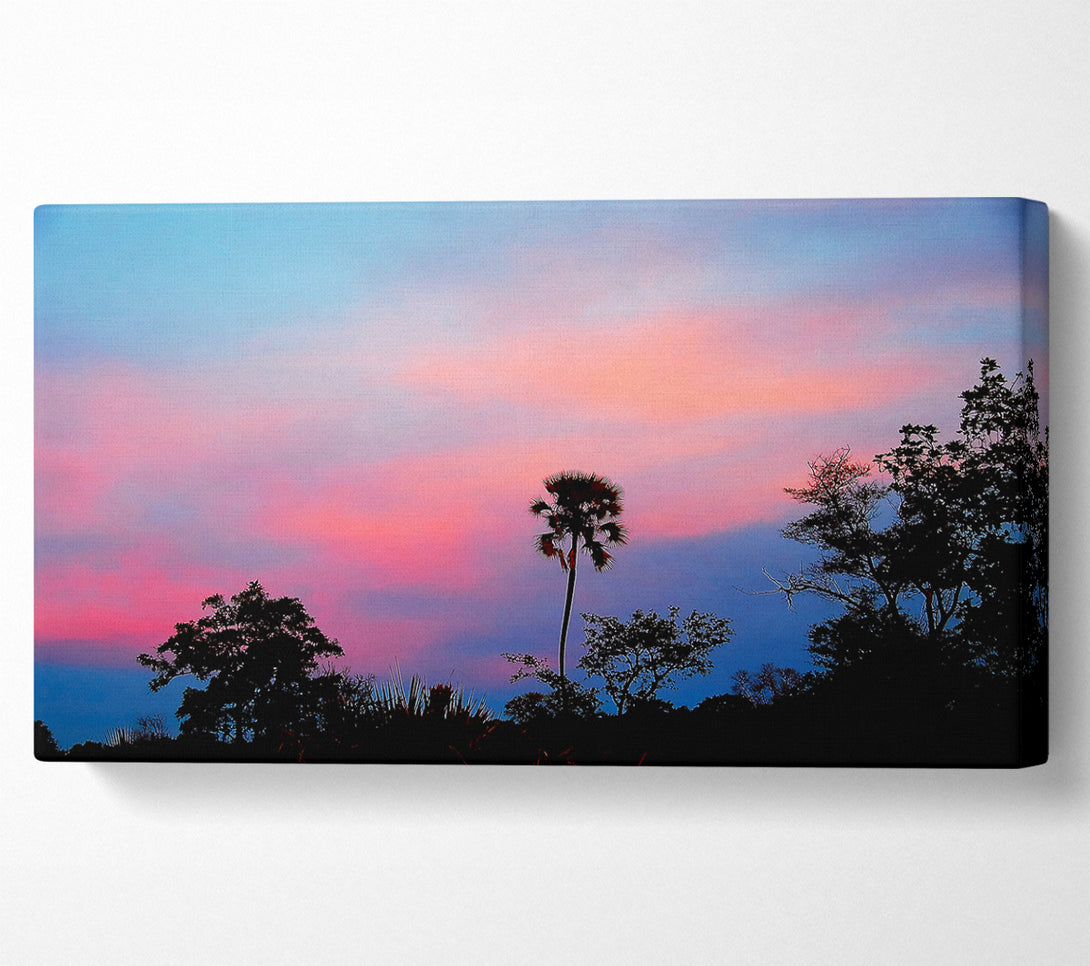  A Canvas Print of Tranquil Tree Tops Canvas Print