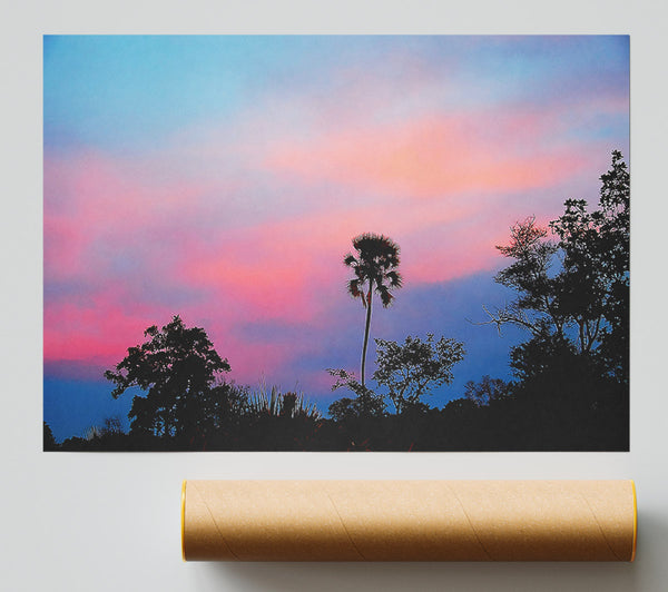 Tranquil Tree Tops Poster