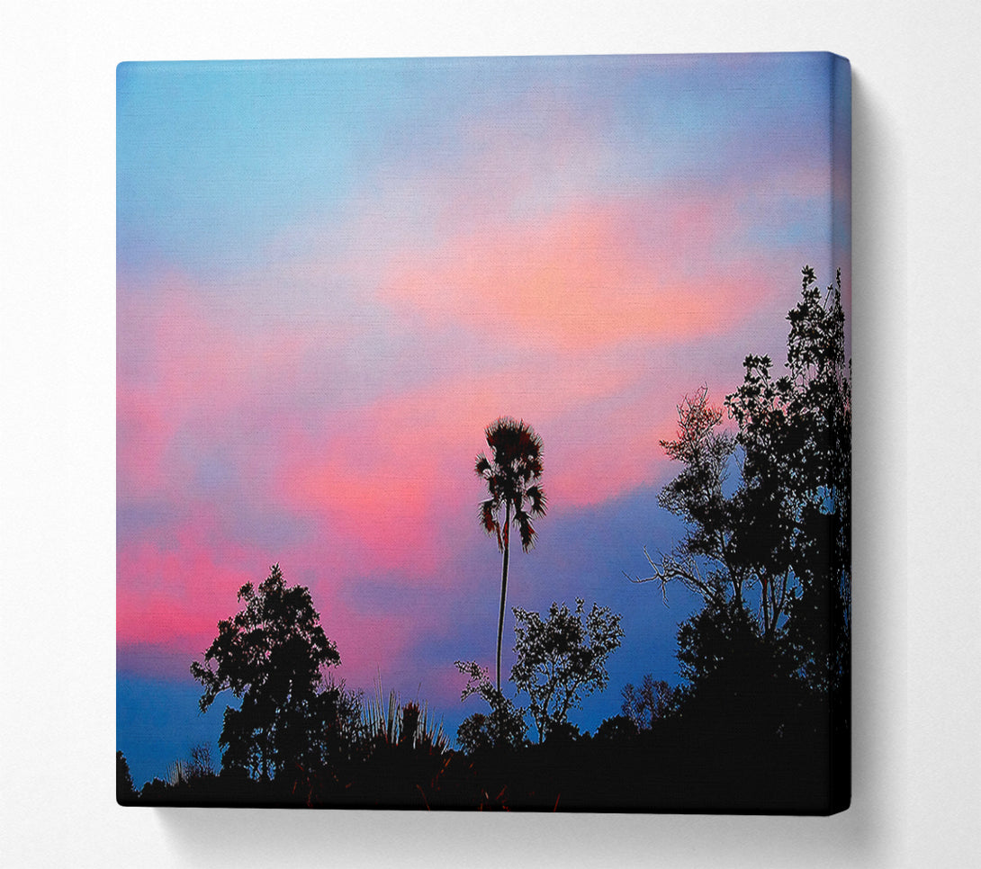 A Canvas Print of Tranquil Tree Tops Canvas Print
