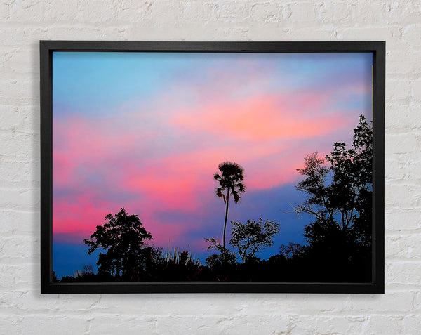 Tranquil Tree Tops Framed Print