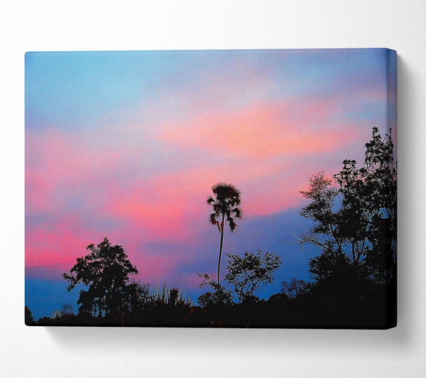  A Canvas Print of Tranquil Tree Tops Canvas Print