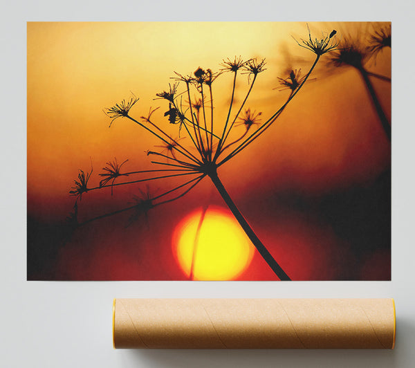 Sunset Through The Reeds Giclee Print