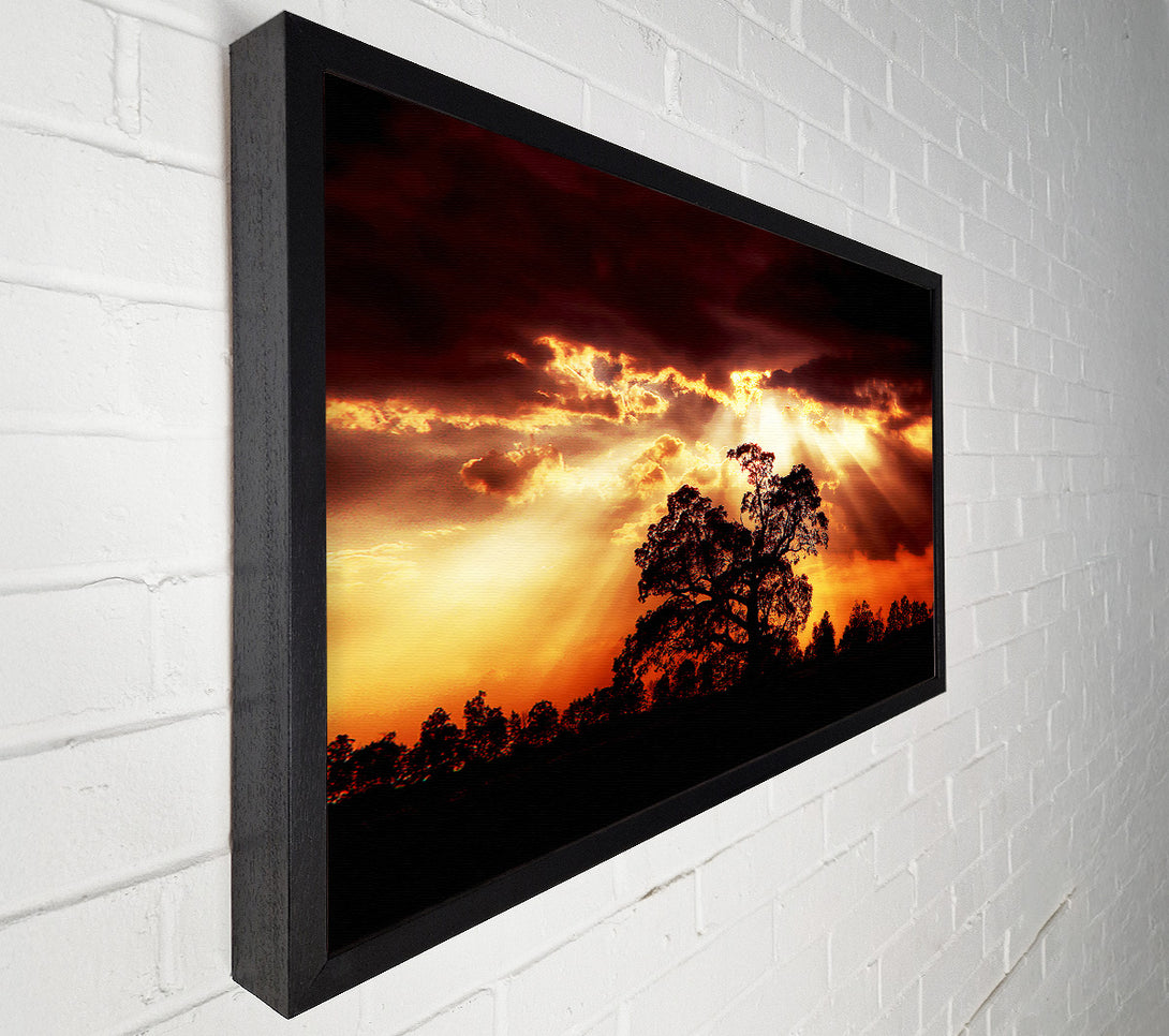  A Canvas Print of Stunning Cloud Sunrays Over The Morning Tree Canvas Wall Art