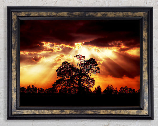 Stunning Cloud Sunrays Over The Morning Tree Framed Print