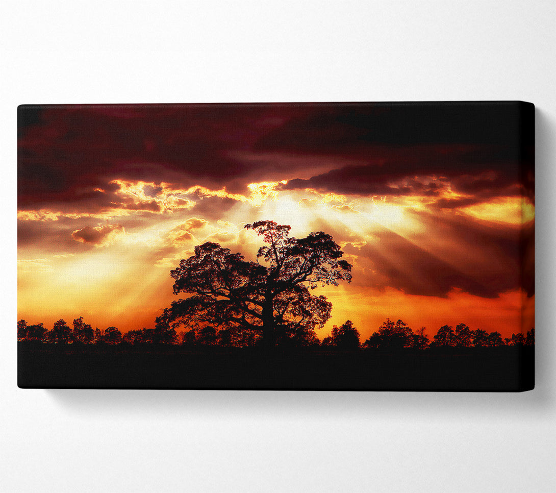  A Canvas Print of Stunning Cloud Sunrays Over The Morning Tree Canvas Wall Art