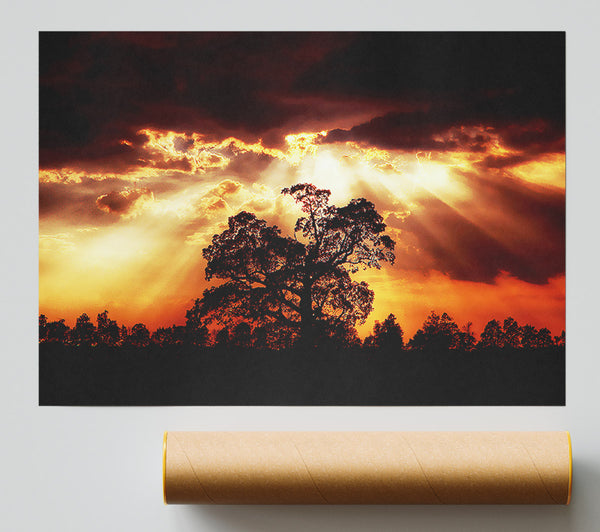 Stunning Cloud Sunrays Over The Morning Tree Giclee Print