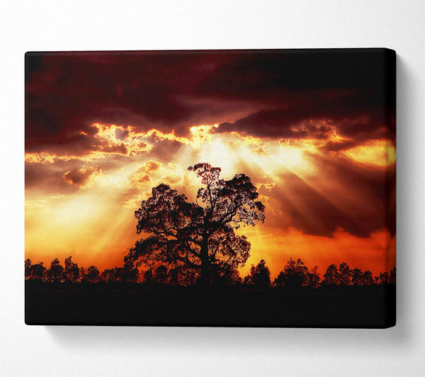 A Canvas Print of Stunning Cloud Sunrays Over The Morning Tree Canvas Wall Art