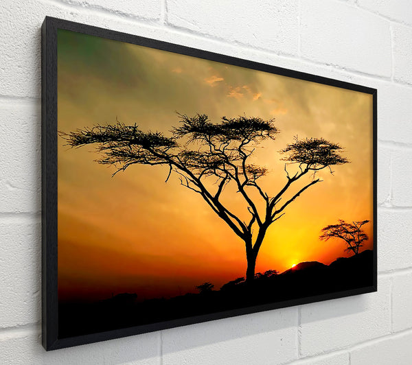 Arcania Tree Sunblaze