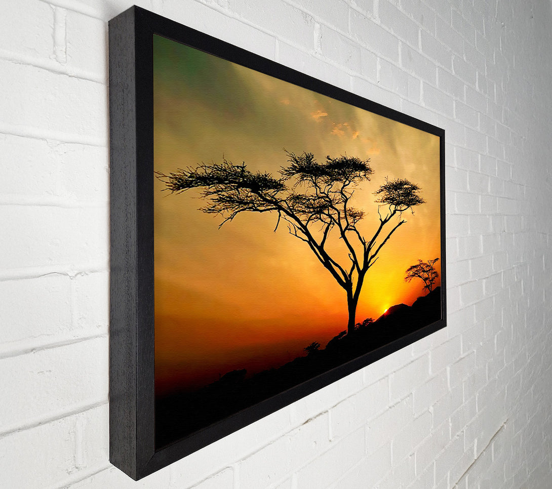  A Canvas Print of Arcania Tree Sunblaze Canvas Print