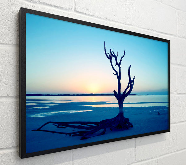 Blue Ocean Driftwood