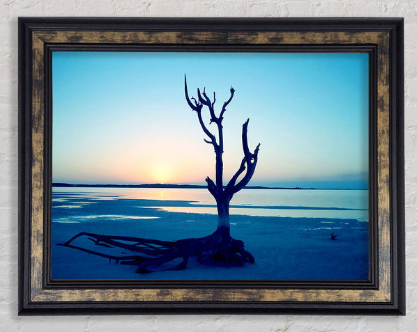 Blue Ocean Driftwood Framed Print