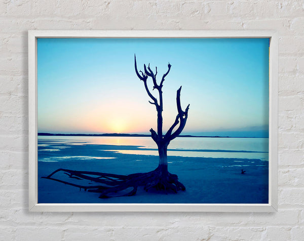 Blue Ocean Driftwood Framed Print