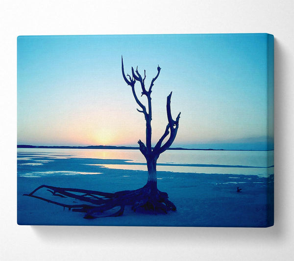  A Canvas Print of Blue Ocean Driftwood Canvas Wall Art
