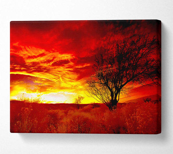 Red Yorkshire Dales Sunrise Canvas Art