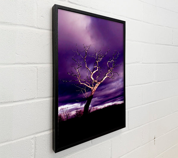 Stunning Purple Night Tree