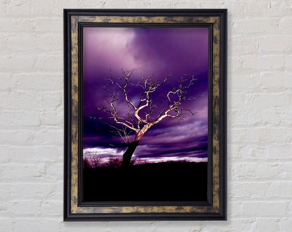 Stunning Purple Night Tree Framed Print