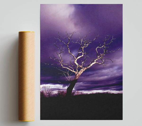 Stunning Purple Night Tree Print