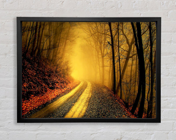 The Road To Gold Framed Print