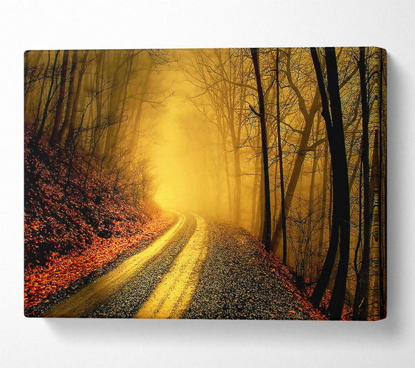  A Canvas Print of The Road To Gold Canvas Wall Art