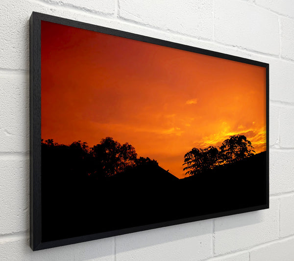 Orange Skys Over Forest