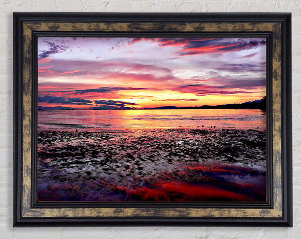 Rainbow Tides Framed Print
