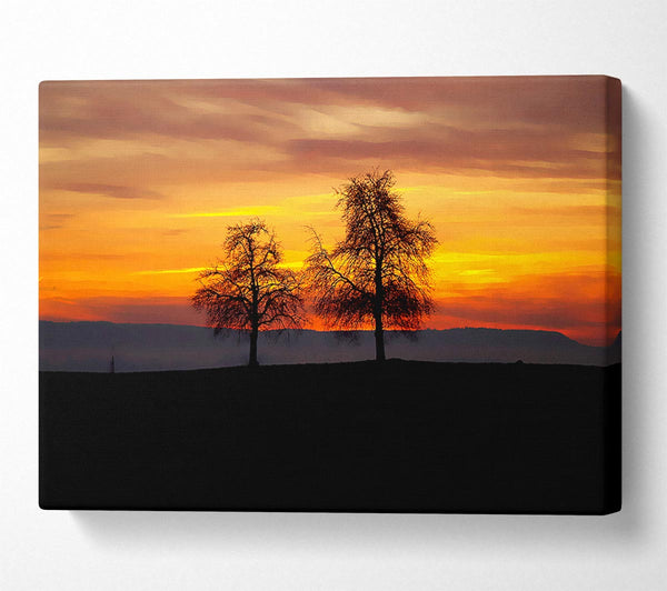 A Canvas Print of English Countryside At Daybreak Canvas Print