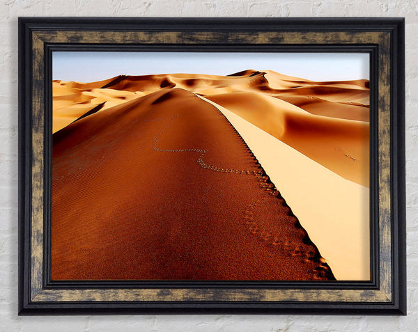 Sand Dune Patterns Framed Print