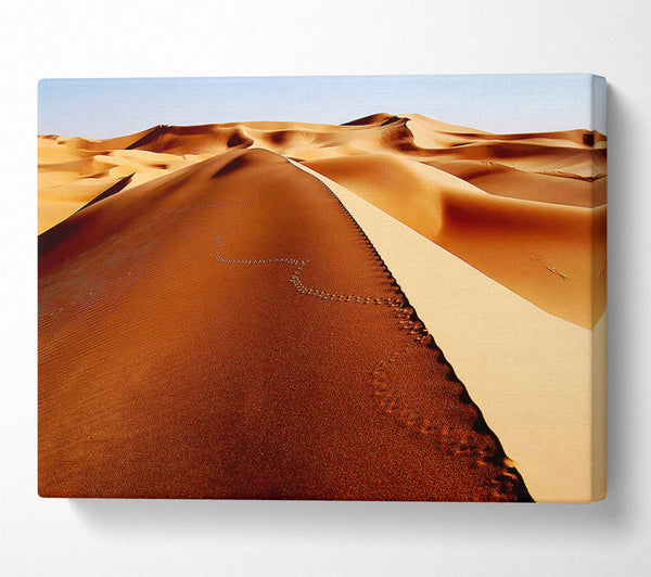  A Canvas Print of Sand Dune Patterns Canvas Print