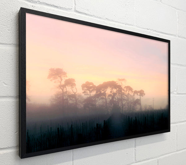 Yorkshire Dales Mist