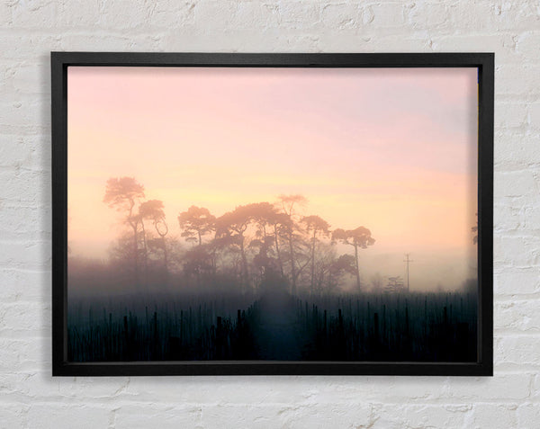 Yorkshire Dales Nebel
