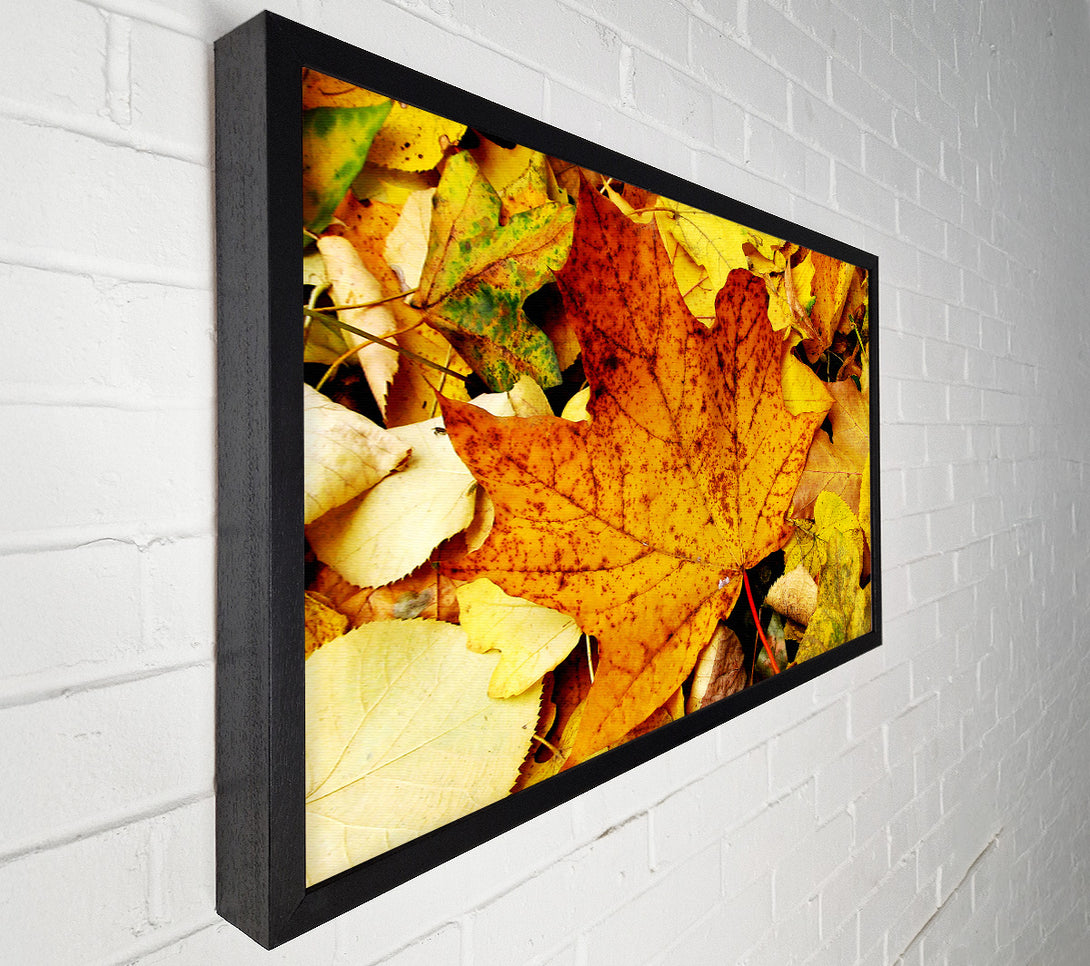  A Canvas Print of Autumn Leaves On The Ground Canvas Print