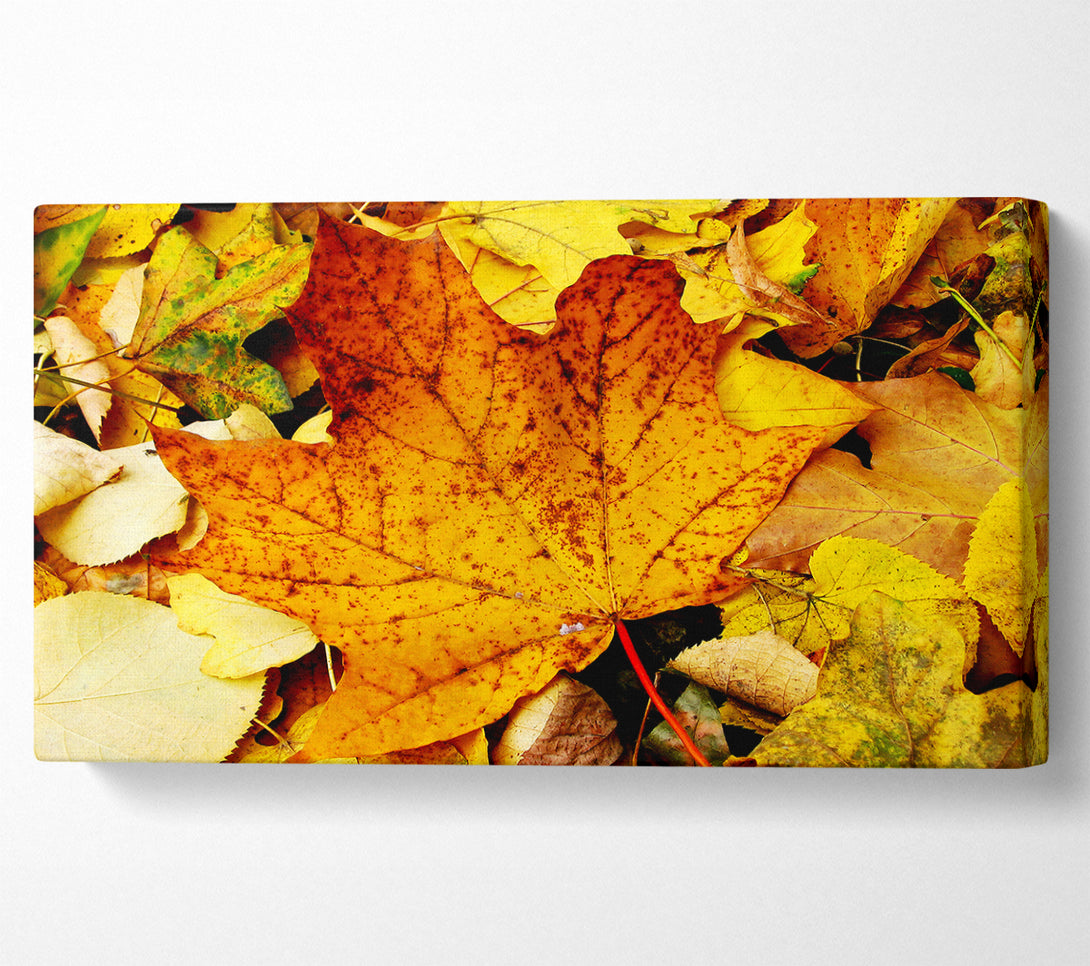  A Canvas Print of Autumn Leaves On The Ground Canvas Print