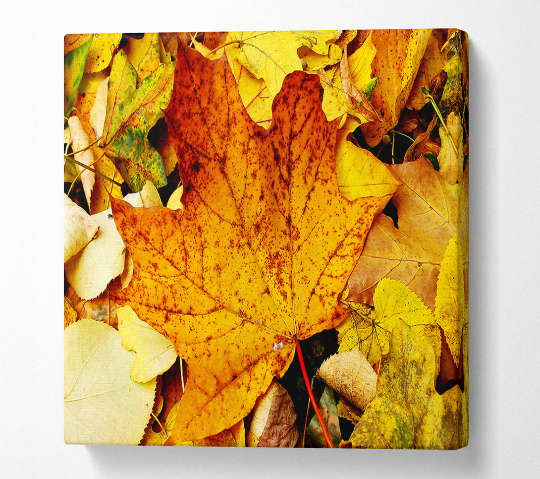  A Canvas Print of Autumn Leaves On The Ground Canvas Print