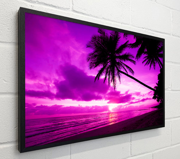 Pink Paradise