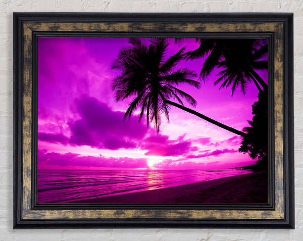 Pink Paradise Framed Print