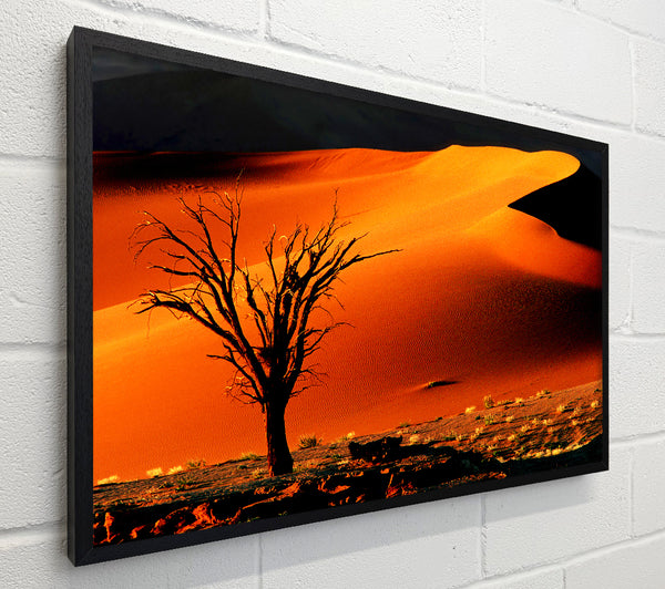 Red Desert Tree