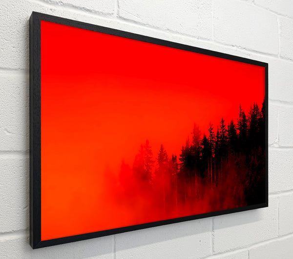Red Mist Woodland