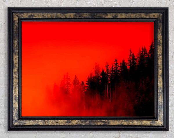 Red Mist Woodland Framed Print