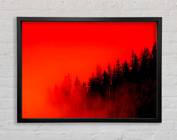 Roter Nebelwald