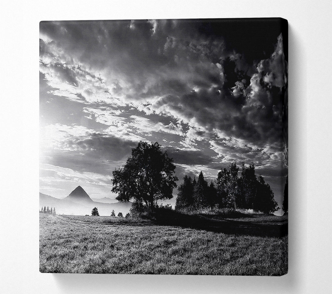  A Canvas Print of Countryside Retreat B n W Canvas Print