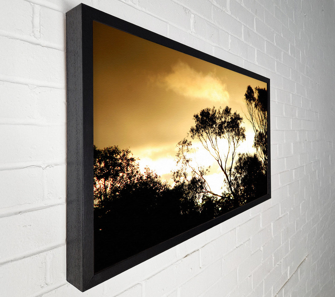  A Canvas Print of Golden Light Treetops Canvas Wall Art