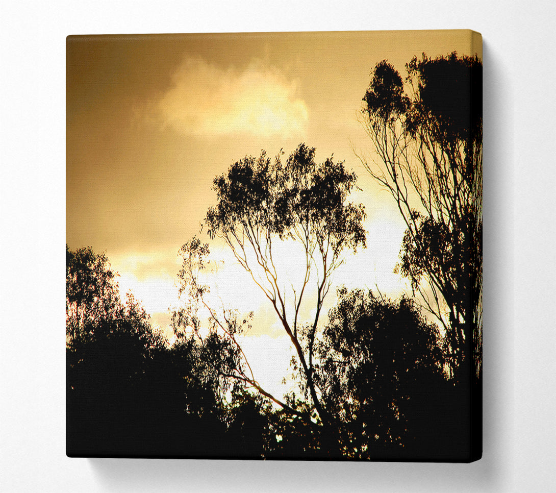  A Canvas Print of Golden Light Treetops Canvas Wall Art