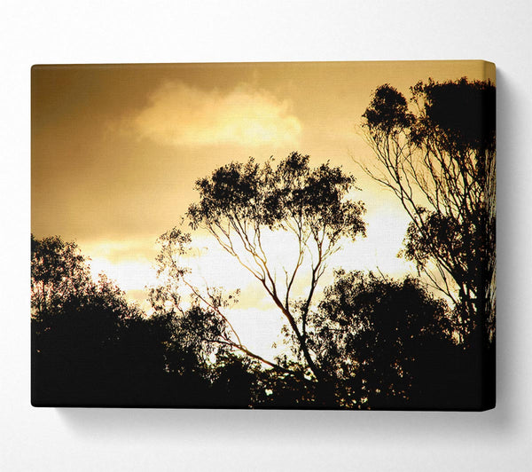  A Canvas Print of Golden Light Treetops Canvas Wall Art