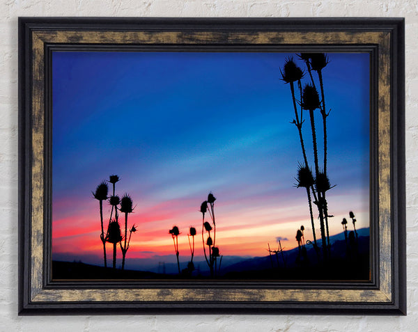 Red Winter Sky Near Dusk Framed Print